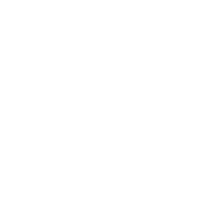 shape-w-14